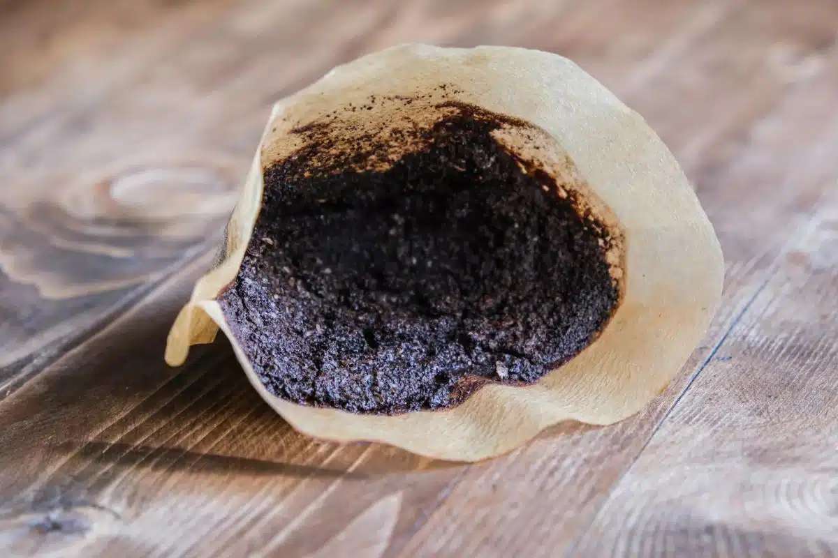 De magie van koffiedik in je tuin