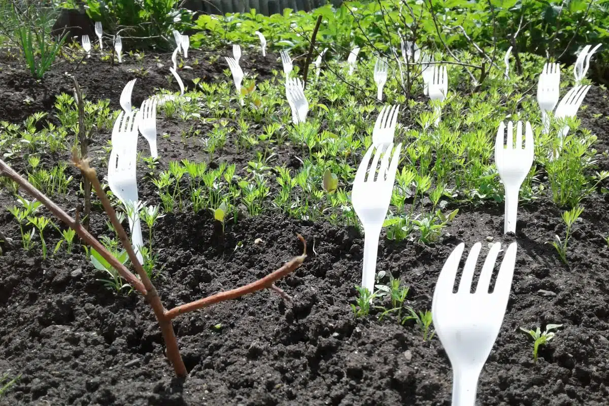 Nieuwe strategieën om plagen in de moestuin te bestrijden