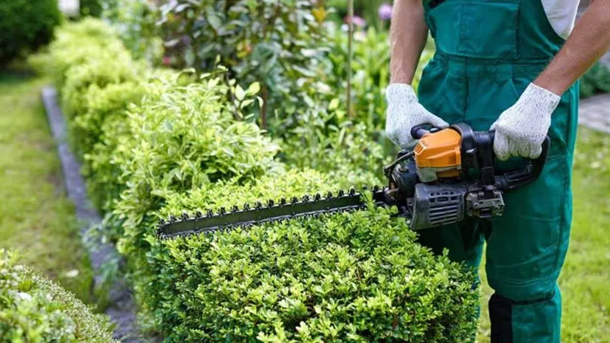 Snoeien in september: een slimme zet