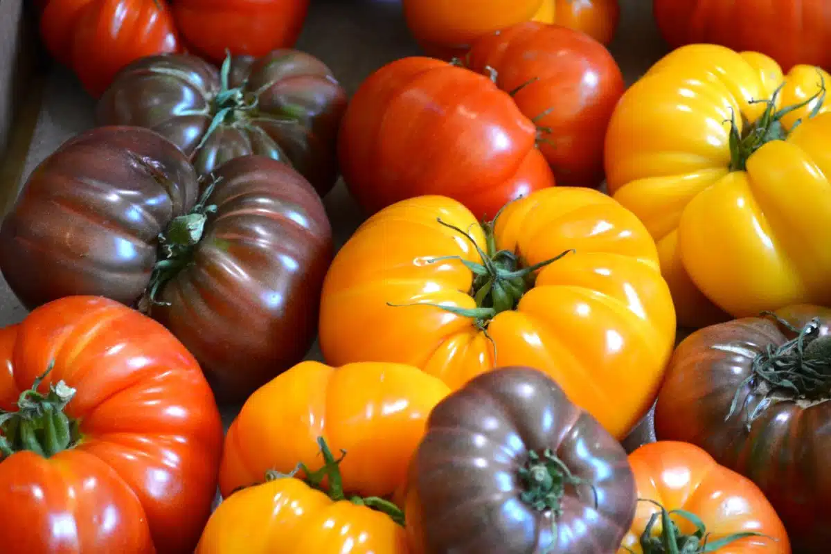 De Spaanse zouttechniek: een smaakvolle tomatenrevolutie